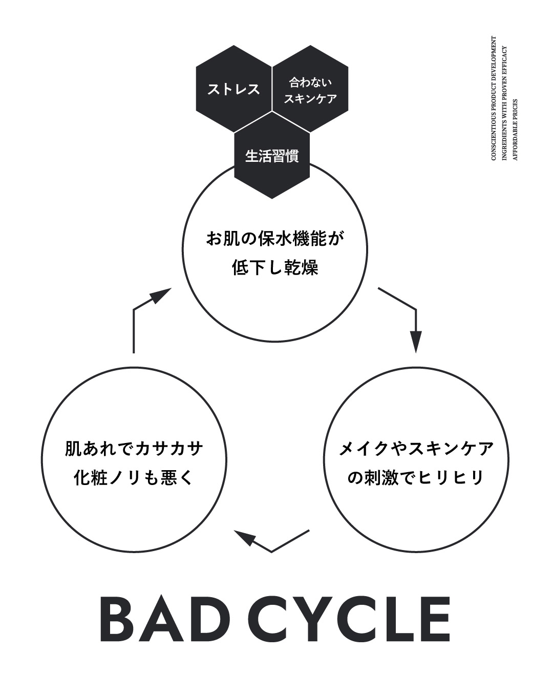 バリア機能の低下が終わりのない肌トラブルの原因に